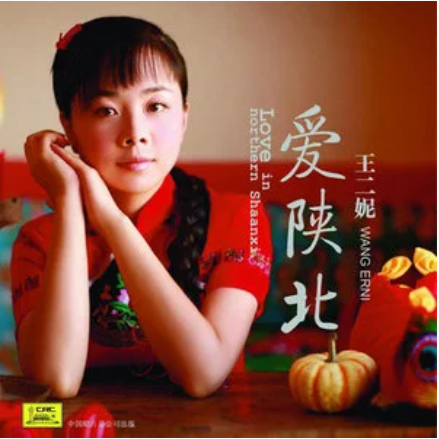  p data-id="syrmt2rhvrzp">《走西口》是王二妮演唱的歌曲,收录于