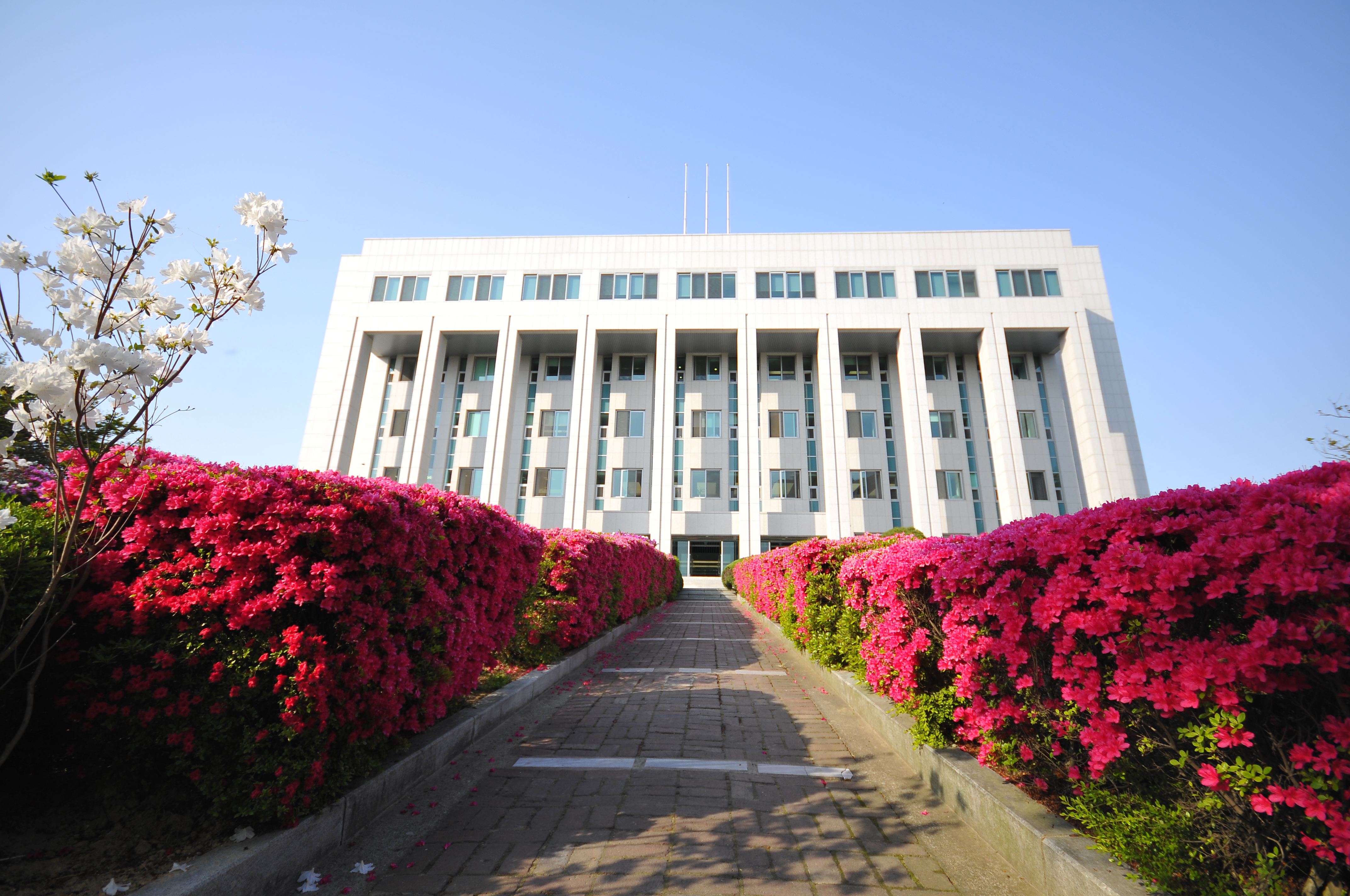  p>又松大学(韩国语:               ,英语:woosong university)坐落