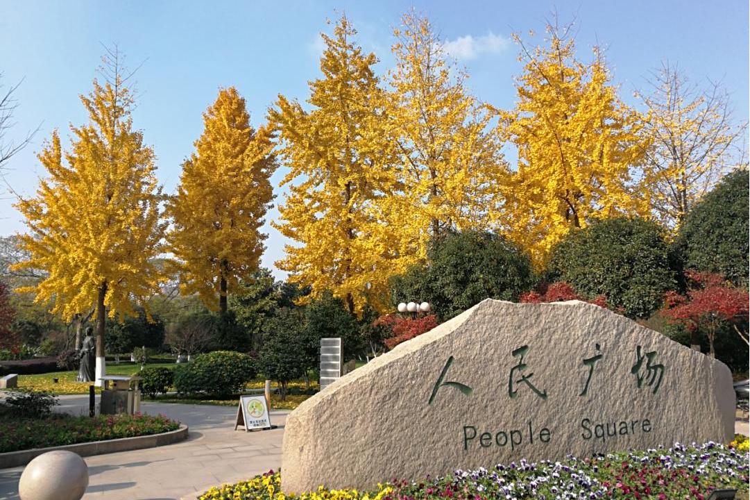  p>人民广场公园位于临平区,主要由主广场,音乐喷泉,按良渚文化器物