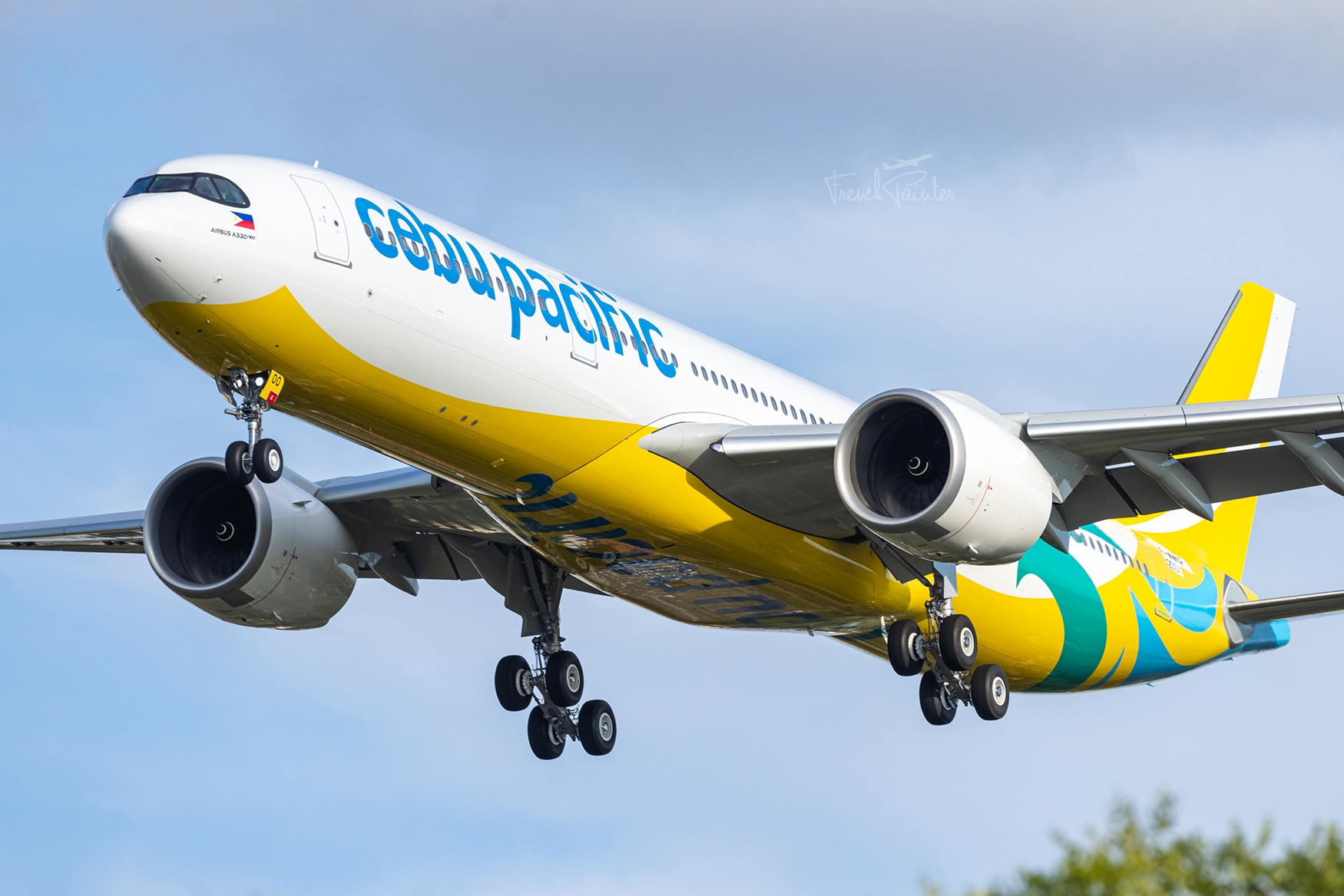  p data-id="tvqvbzbgx7el">a330-900是空中客车领先的宽体飞机家族的