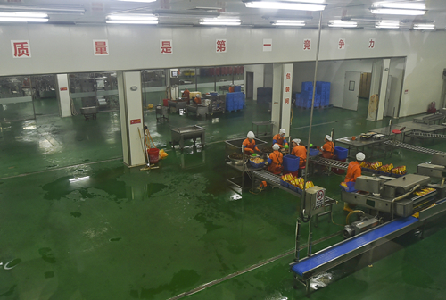 延边朝鲜族辣白菜