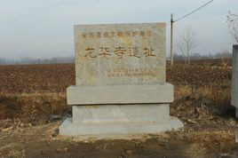 博兴龙华寺遗址