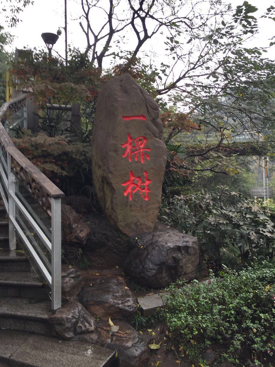  p>重庆南山一棵树观景台位于重庆市 a target="_blank" href="/item