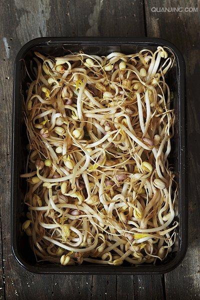 豆芽