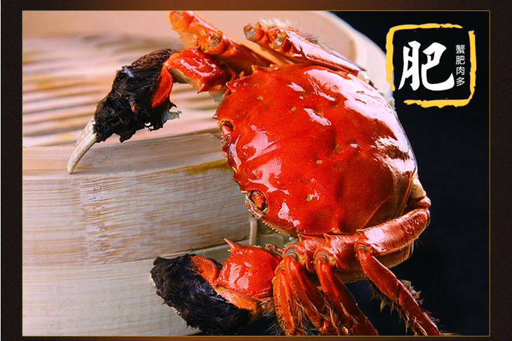 阳澄湖大闸蟹