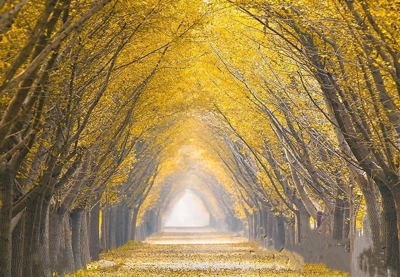 铁富镇时光隧道