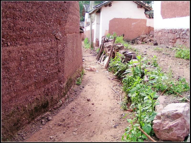  p data-id="gn35pxo1k6">牛街新村隶属于弥渡县牛街彝族乡康郎村委会