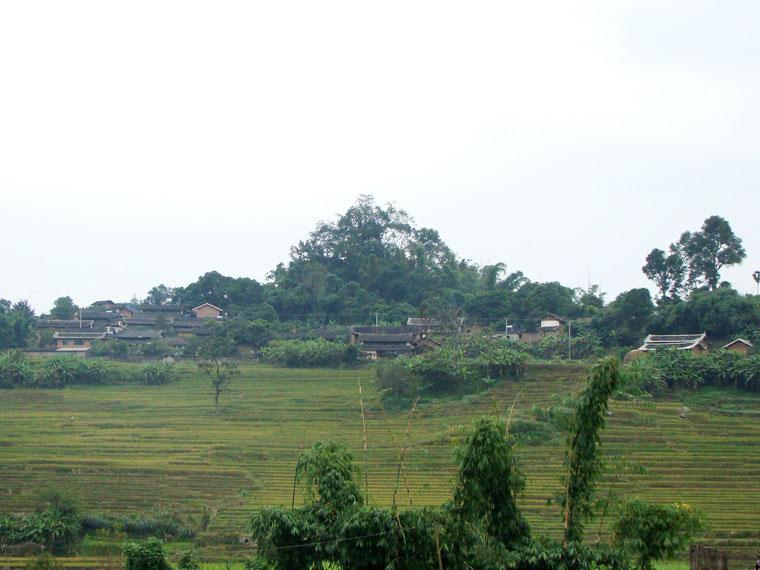 href="/item/普洱市">普洱市 /a>镇沅彝族哈尼族拉祜族自治县者