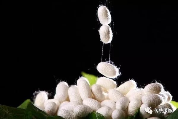 蚕宝宝吐的“蚕丝”是怎样变成“丝绸”的？自己在家能DIY吗？_百科TA说