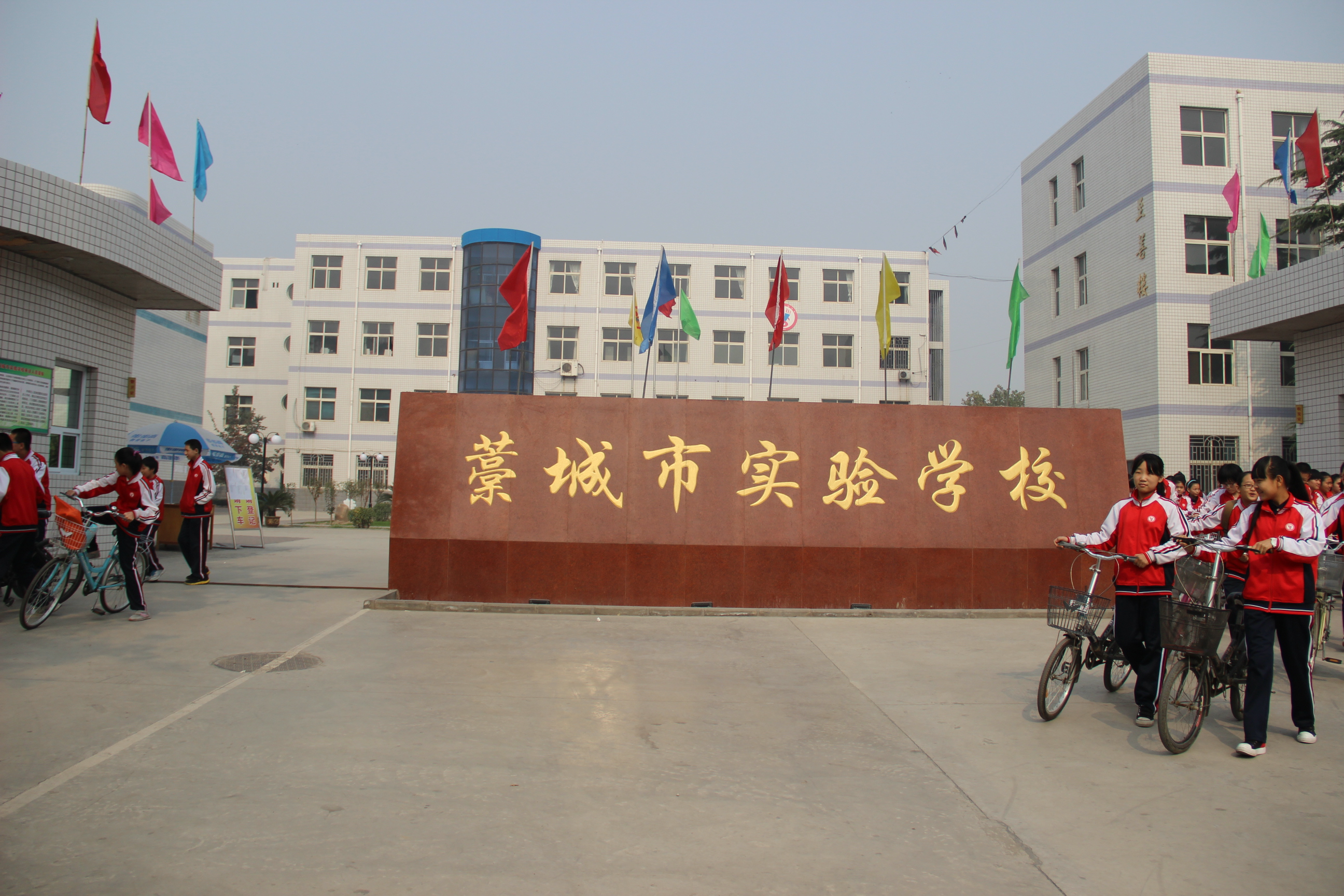href="#" data-lemmaid="552015">义务教育 /a>任务,是藁城市教育局