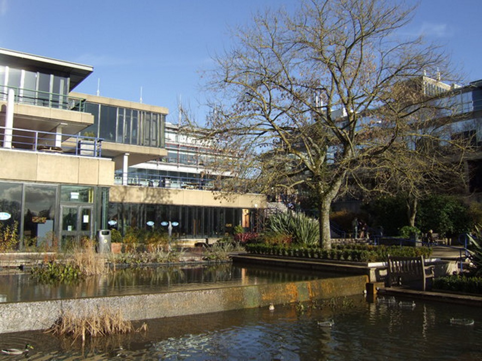 university of bath