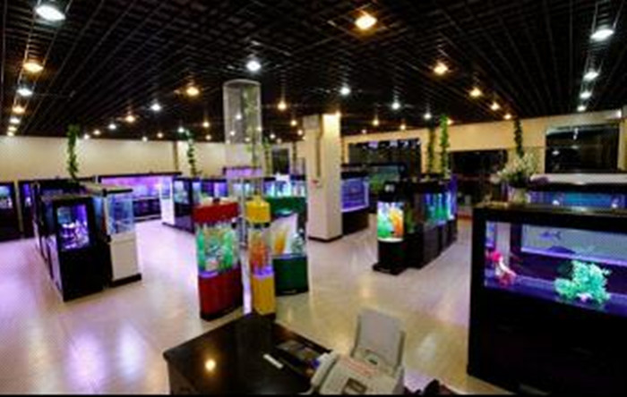  p>可丽爱水族箱共有30多种的外形款式与超过百种的规格,可分为玻璃缸