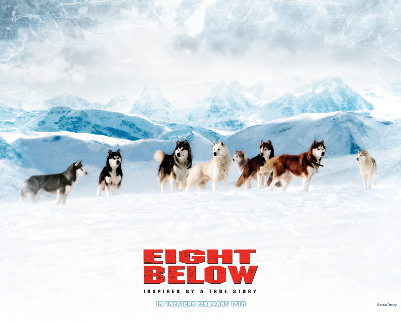 奥古斯特·斯彻伦伯格 