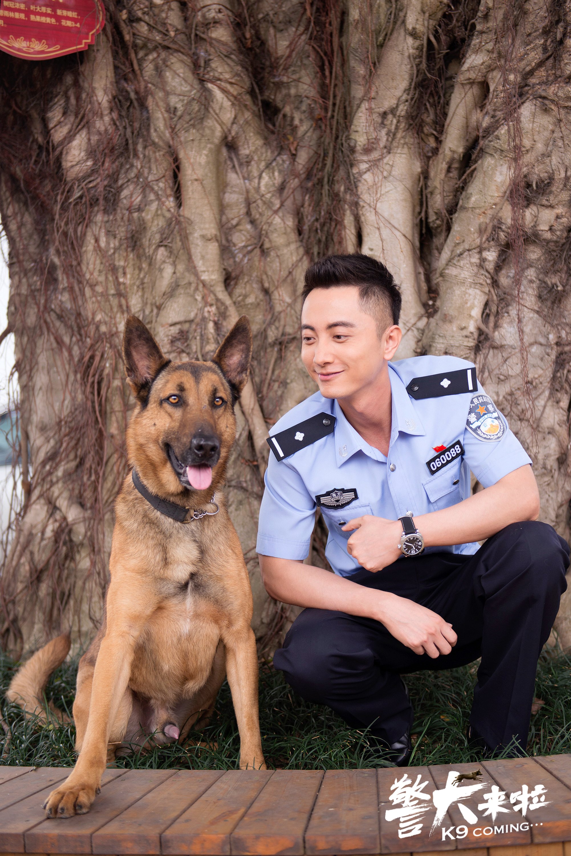 警犬来啦