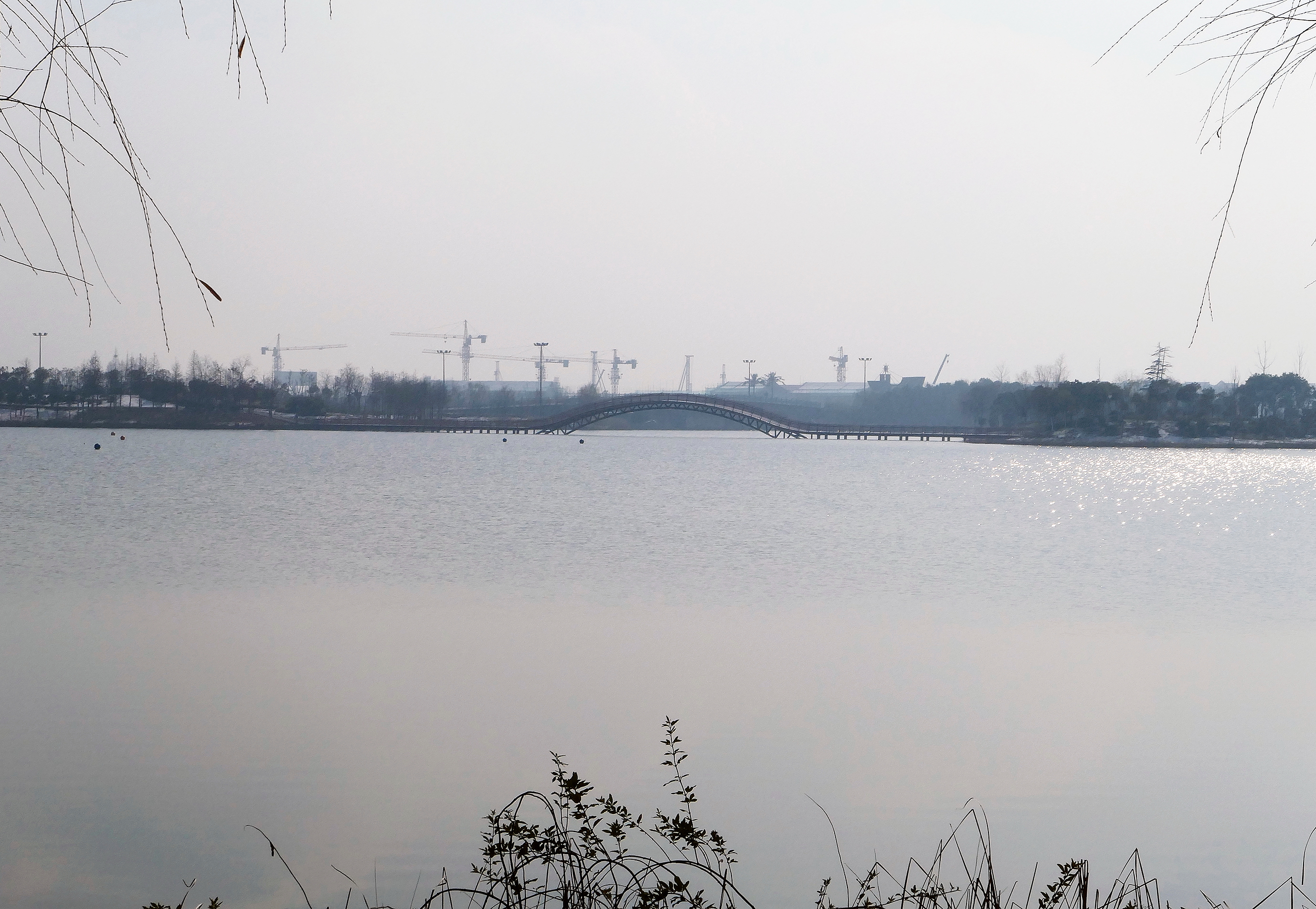 大洋湾湿地公园