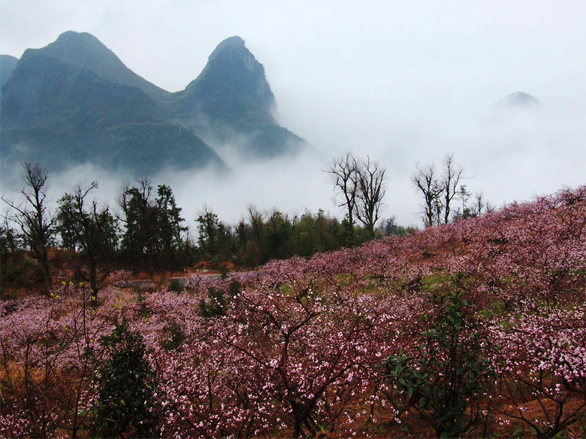 桃花山风景区