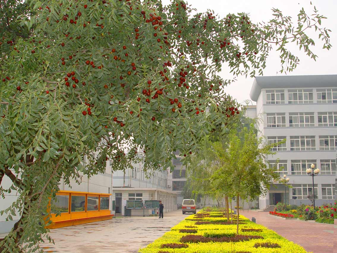  p> a target="_blank" href="/item/兰州西北中学/4265764" data