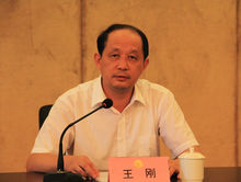  p data-id="gnc0ku3y7p">王刚,男,汉族,上海市人,1959年1月出生
