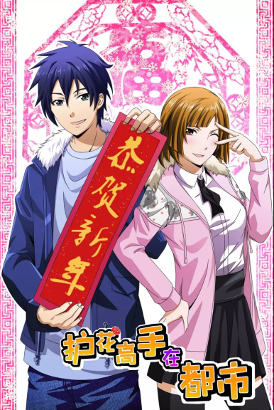 护花高手在都市