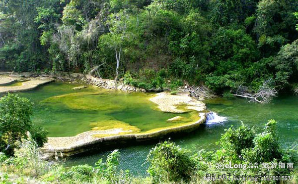  p>大王岭原始森林,一般指百色大王岭风景区,位于中国广西壮族自治区