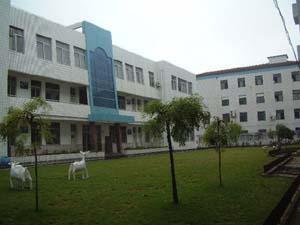 上海市崇明区城桥中学