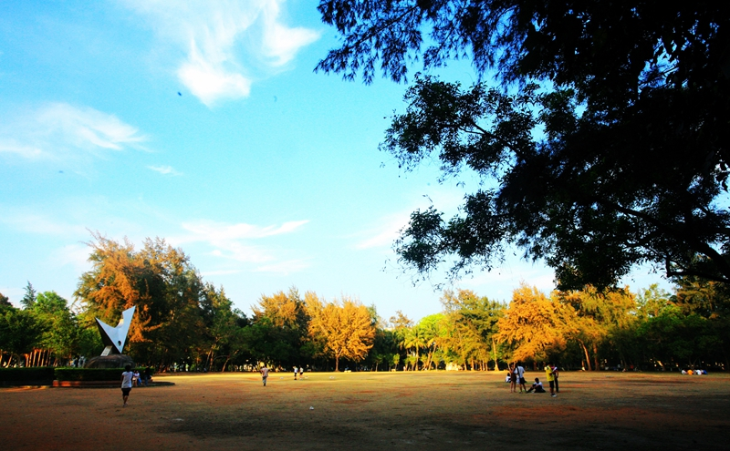 华南热带作物学院