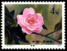 云南山茶花（1979年发行的特种邮票）_百度百科