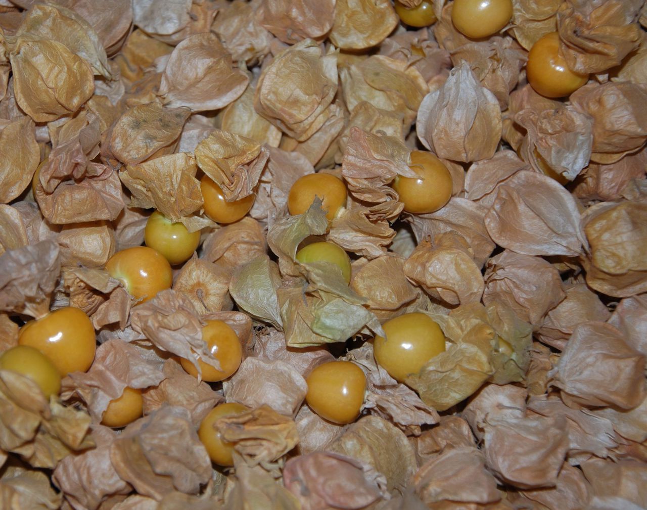 data-lemmaid="10298030">大安市 /a>特产,全国农产品地理标志