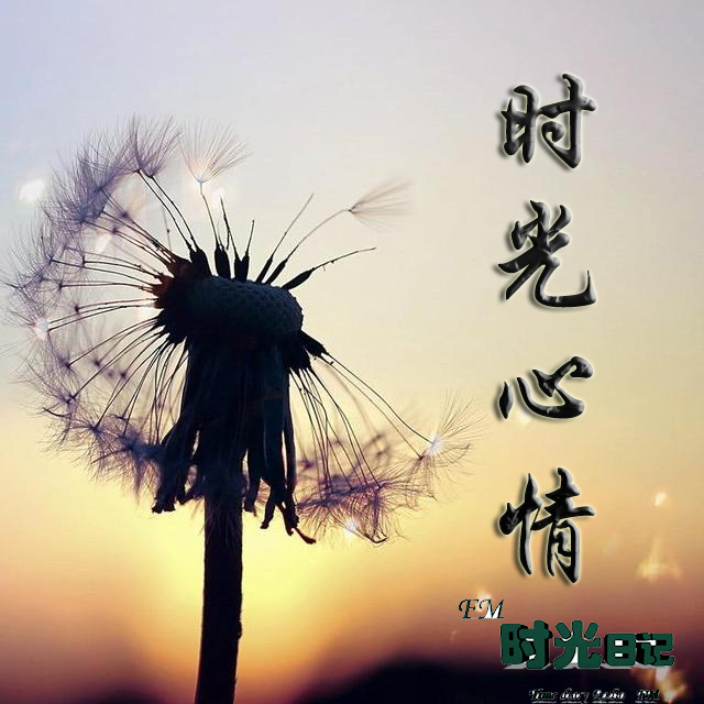 电台紧跟时代潮流,以情感,故事,音乐,用声音作为媒介,把热爱听广播