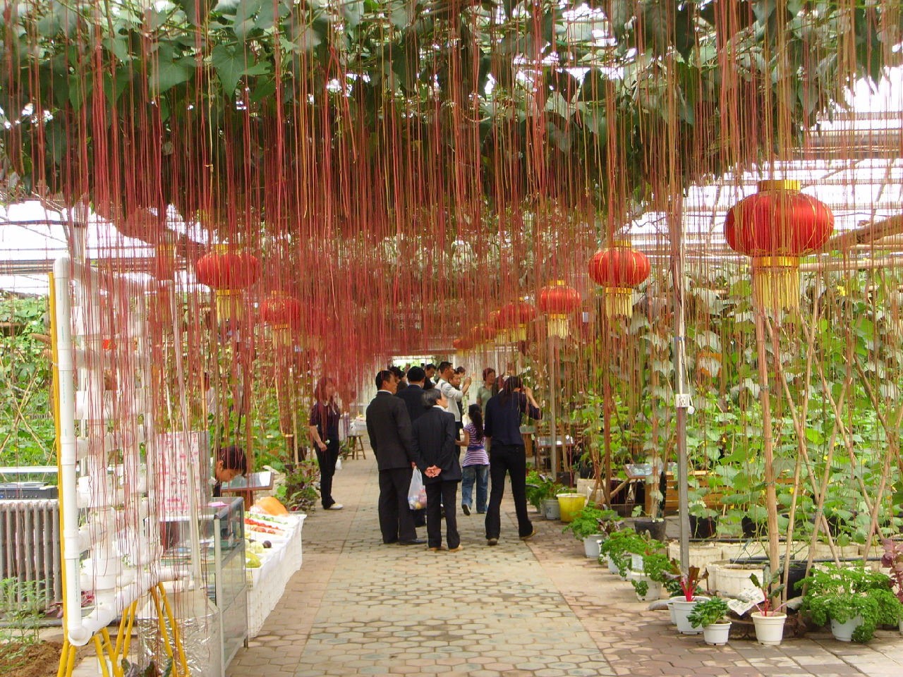 北戴河生态农业观光园