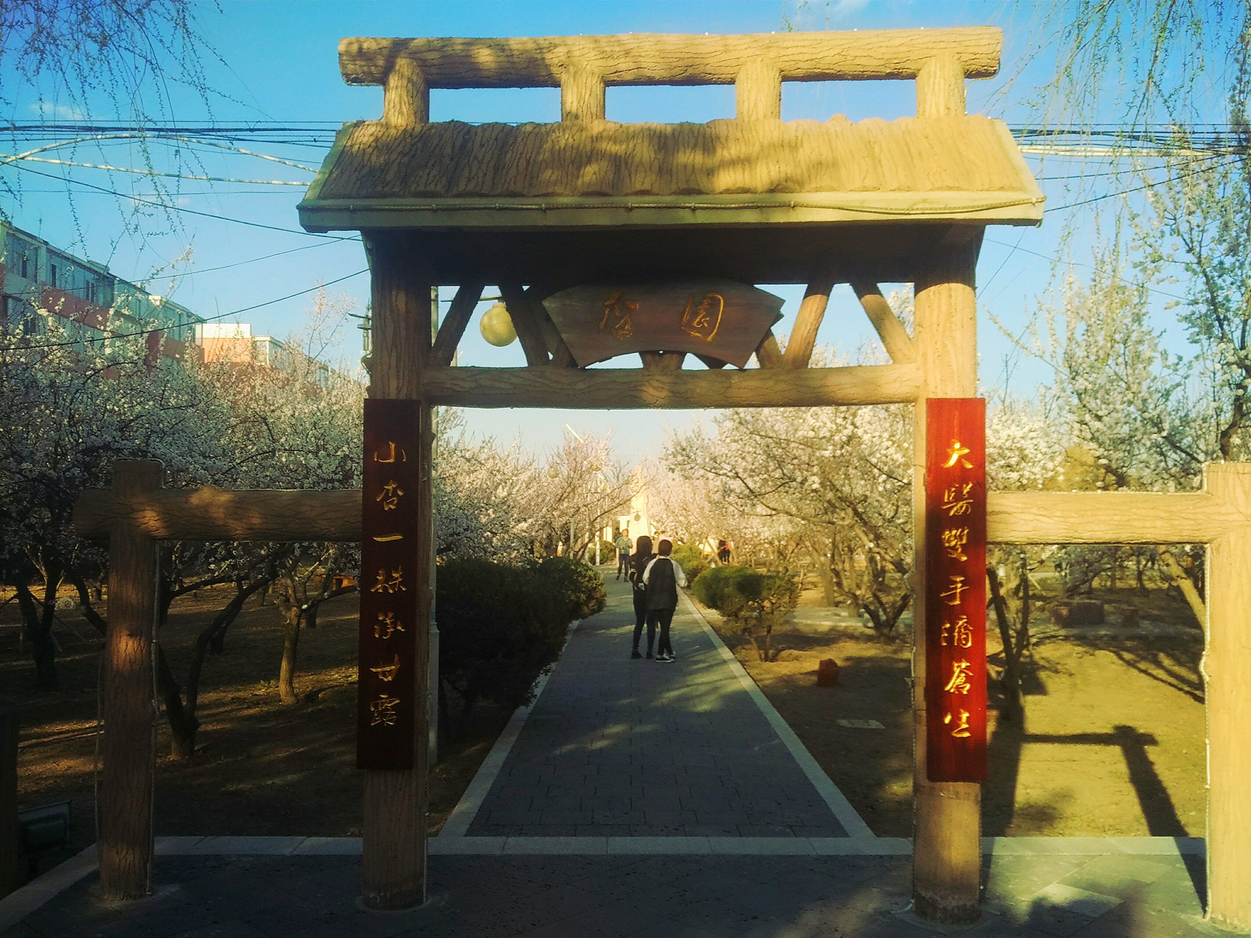  p>白城医学高等专科学校是经吉林省人民政府批准,教育部备案的医学类