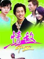 情敌韩国励志偶像剧三十碟装(vcd)