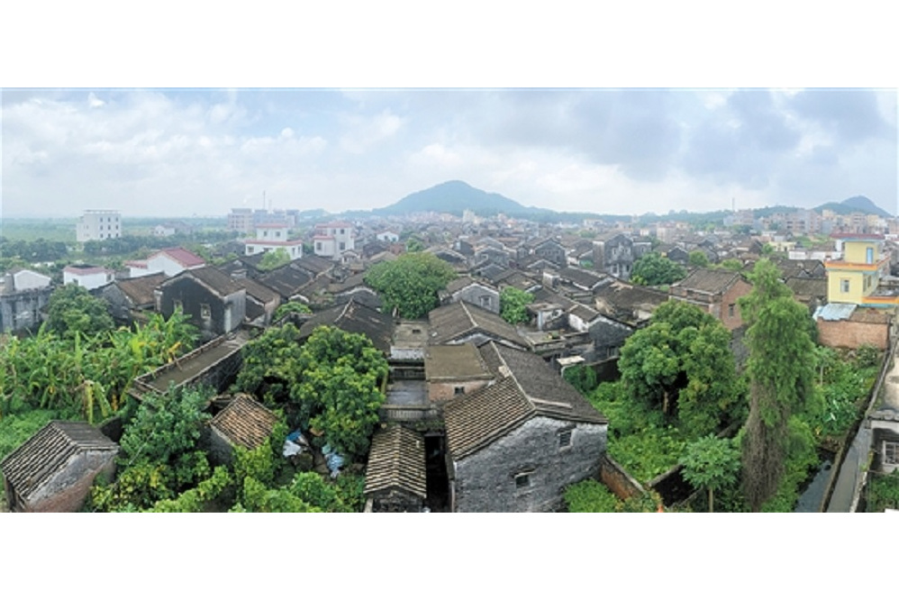  p data-id="tvd061wcmwht">慈溪村,位于广东省江门市新会区古井镇.