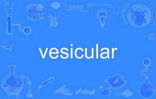 vesicular_百度百科