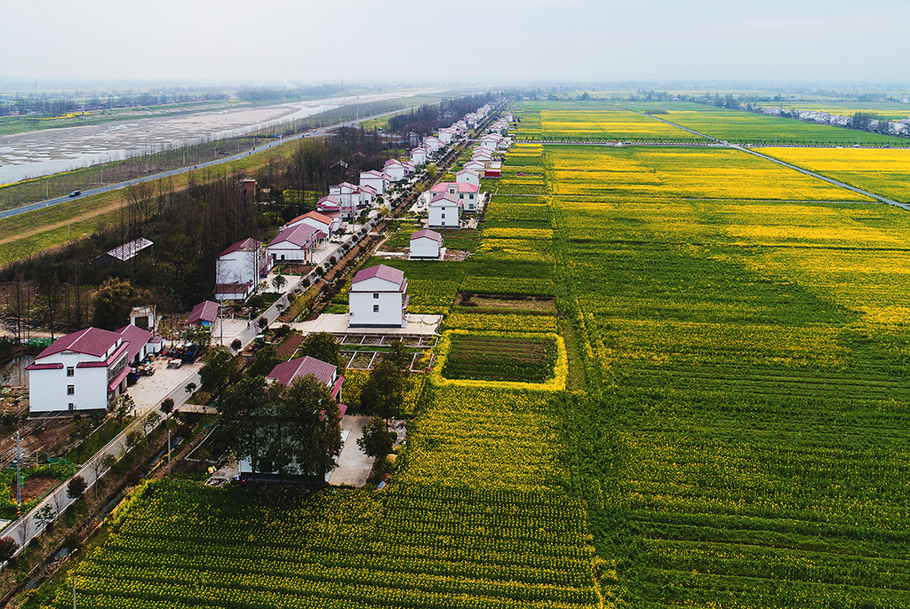 "/item/湖南省/293174" data-lemmaid="293174">湖南省 /a>益阳市南县