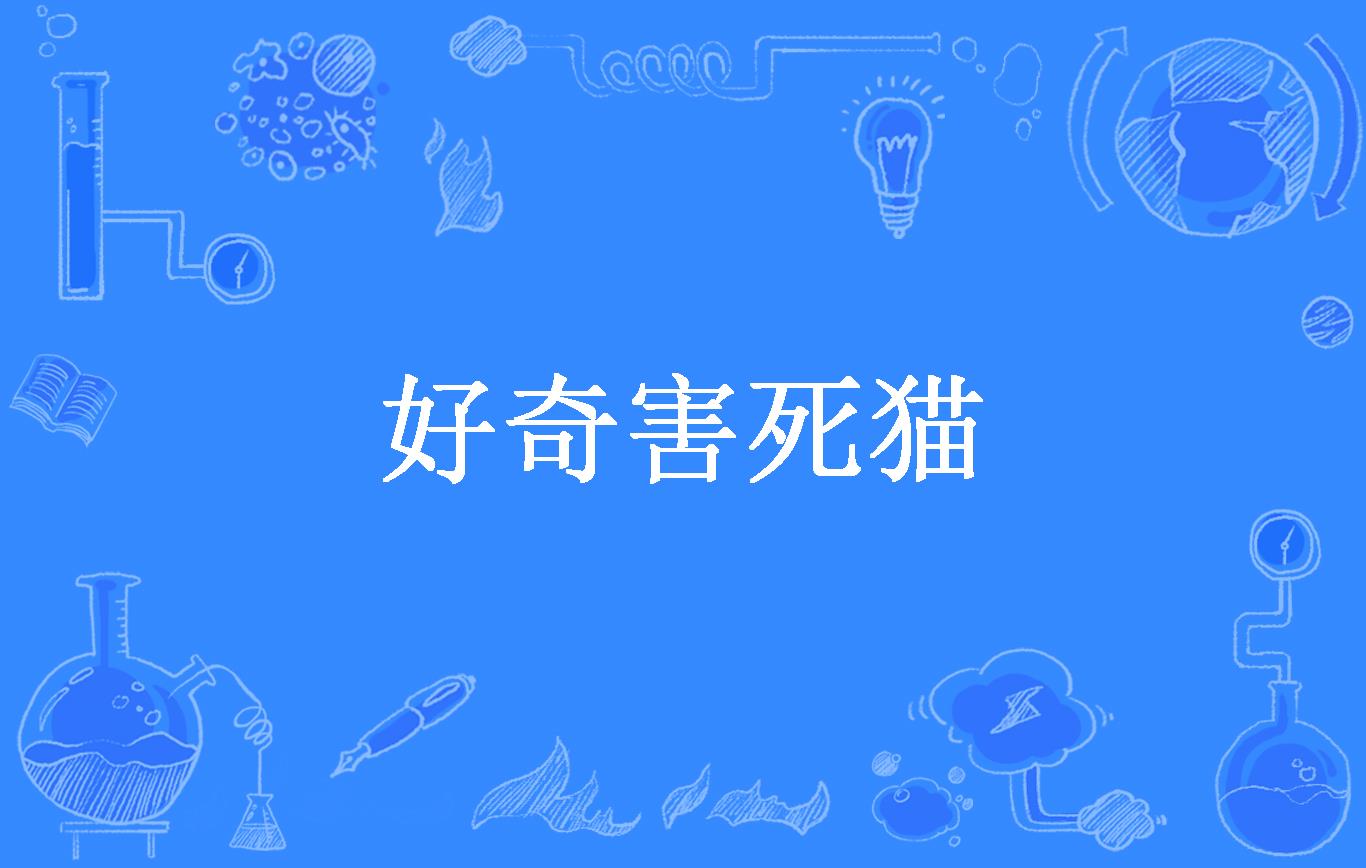 好奇害死猫