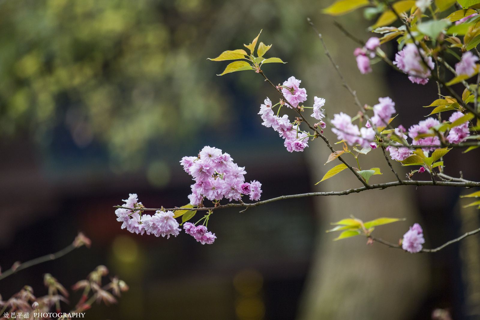  p>惠州西湖国家风景名胜区地处 a target="_blank" href="/item/广东