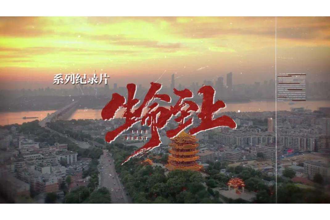  p data-id="gnbre65qoe">纪录片《生命至上》由 a target="_blank"
