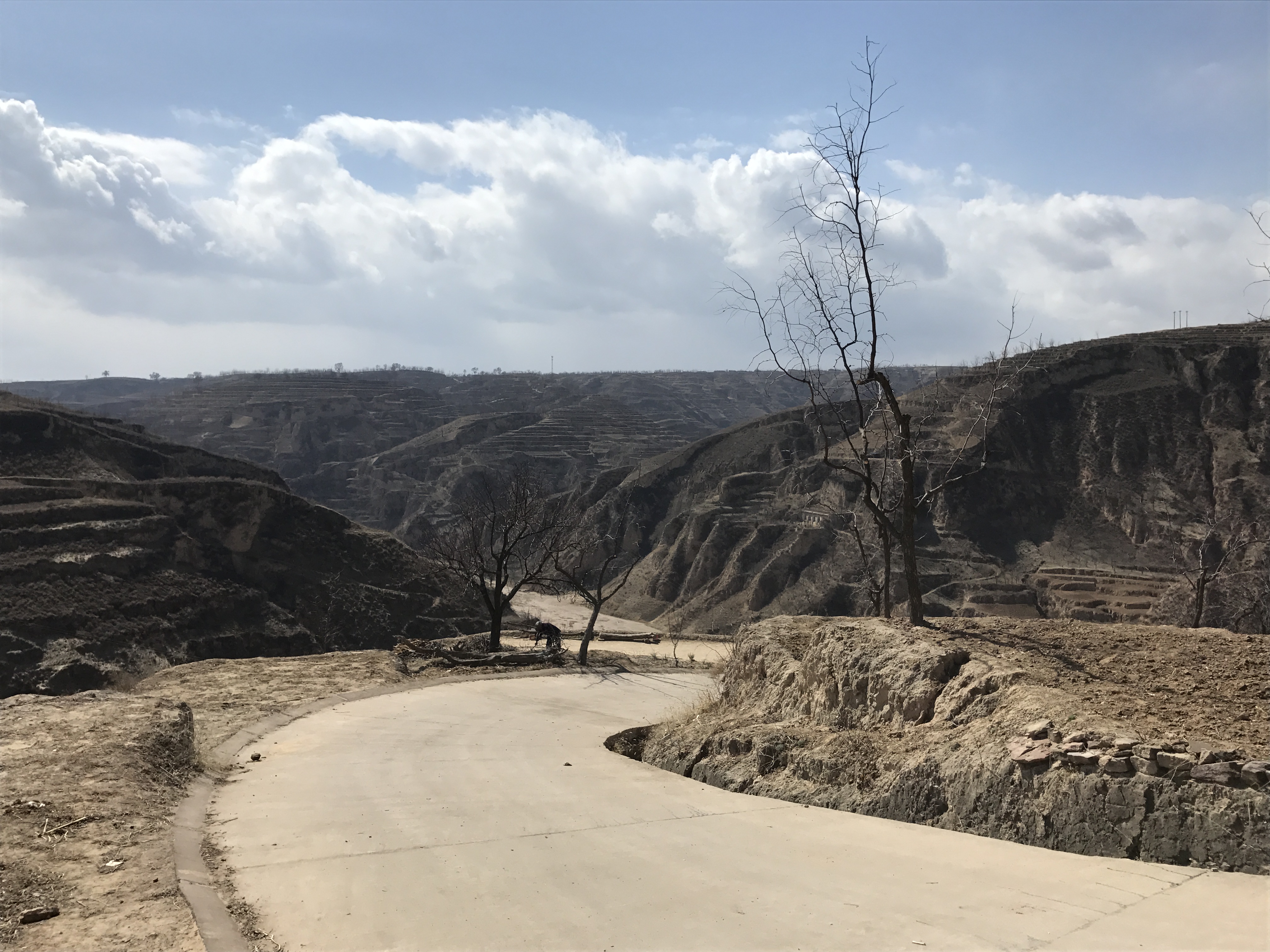 target="_blank" href="/item/吴堡县/4612920" data-le