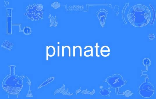 pinnate_百度百科