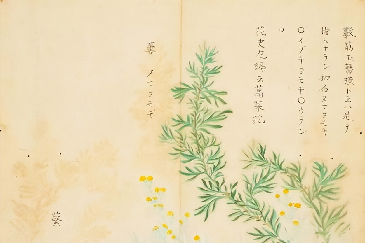 诗经之美无处不在，《采蘩》仅用16字，就完美摹写了女子的动感美_百科TA说