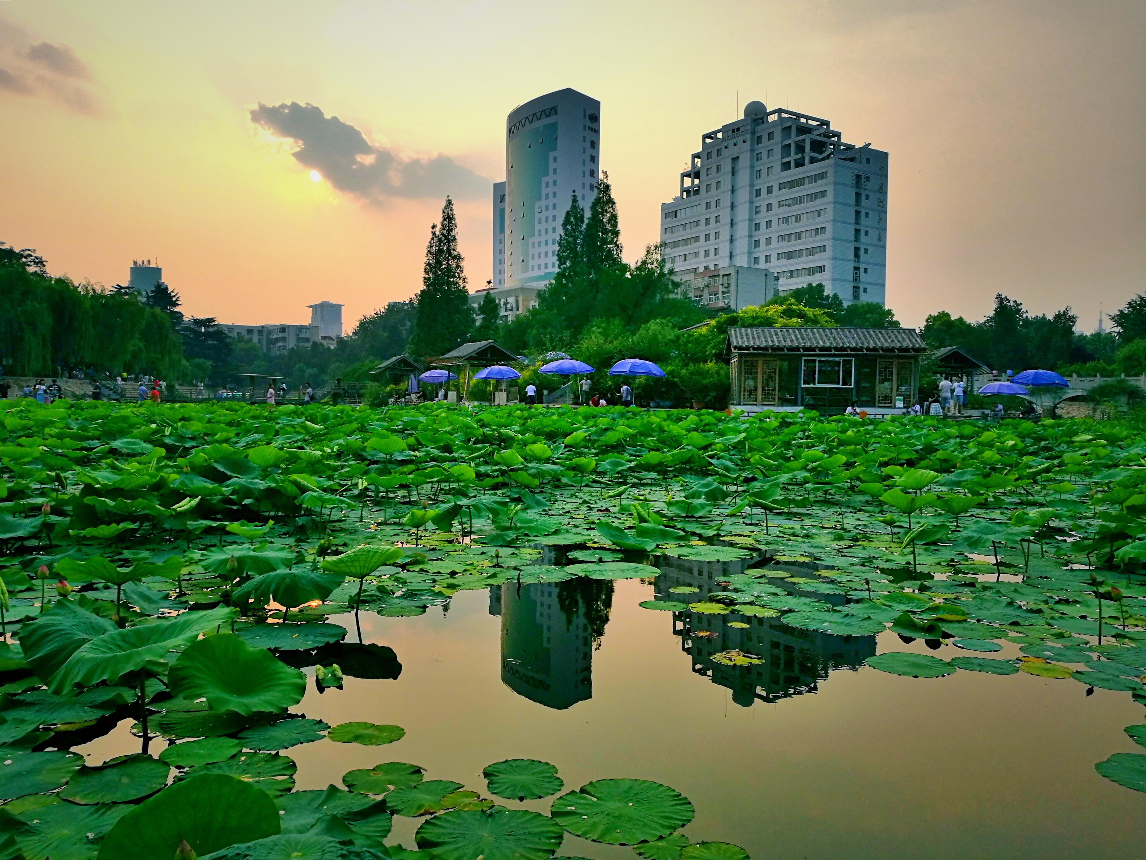 郑州紫荆山公园