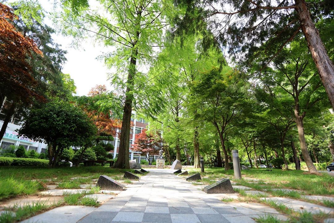 韩国国立全南大学