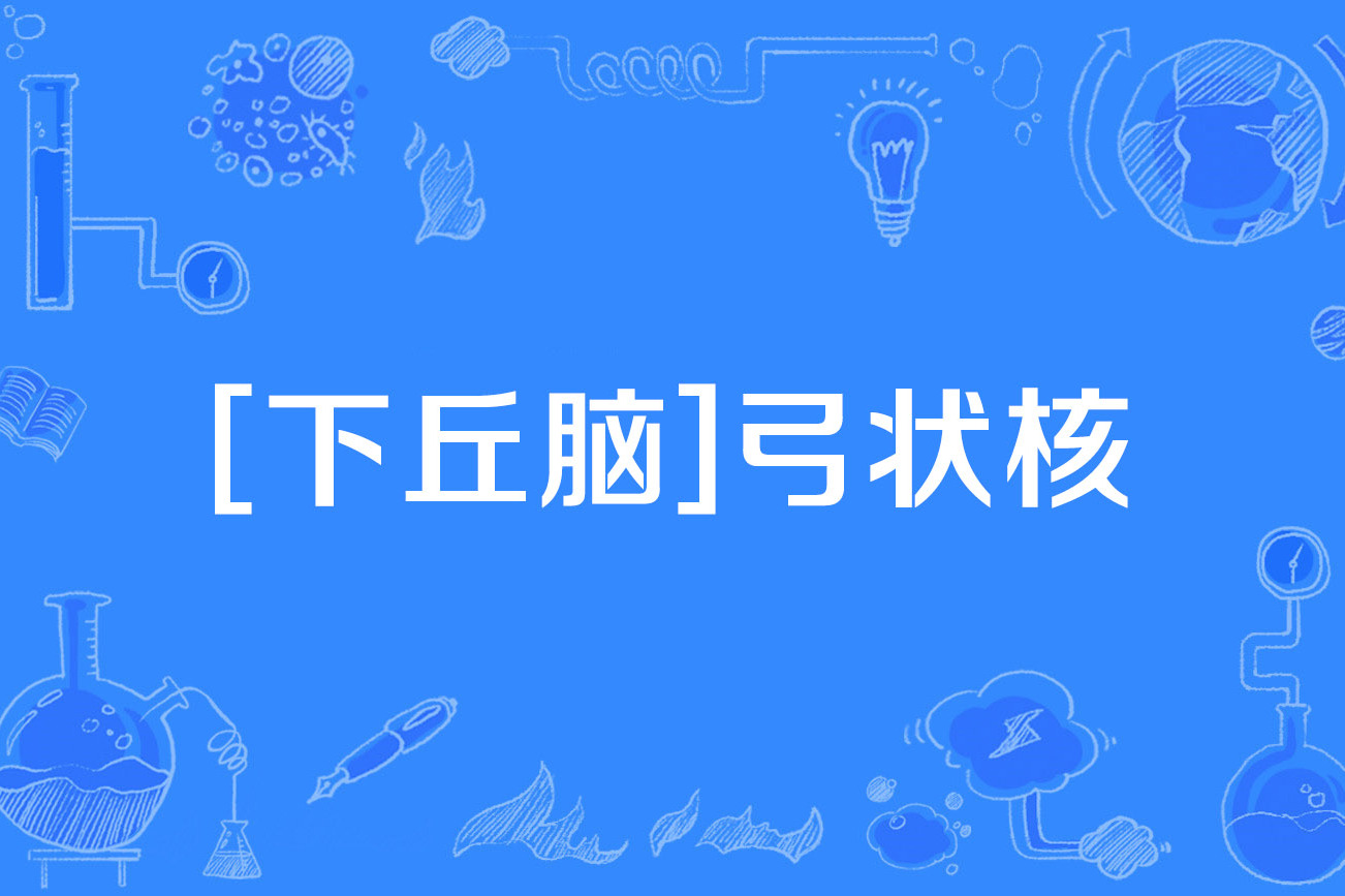  p data-id="go2i6aeqe4">[下丘脑]弓状核(arcuate nucleus of