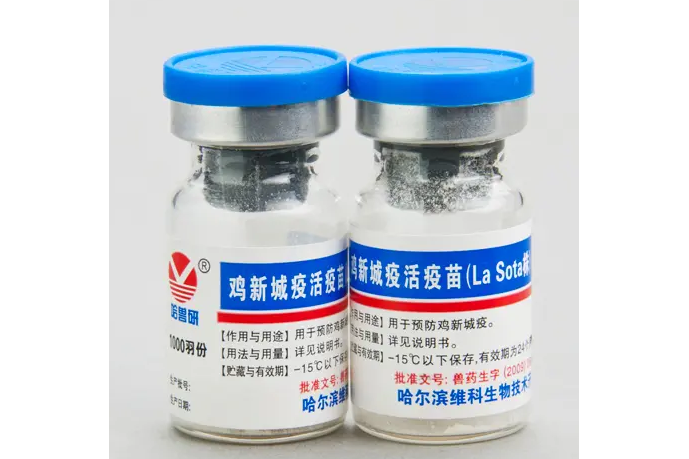鸡新城疫疫苗