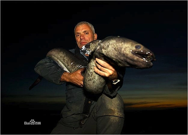  p>杰里米·瓦德(jeremy wade),1956年3月23日出生于英国,是一名生物