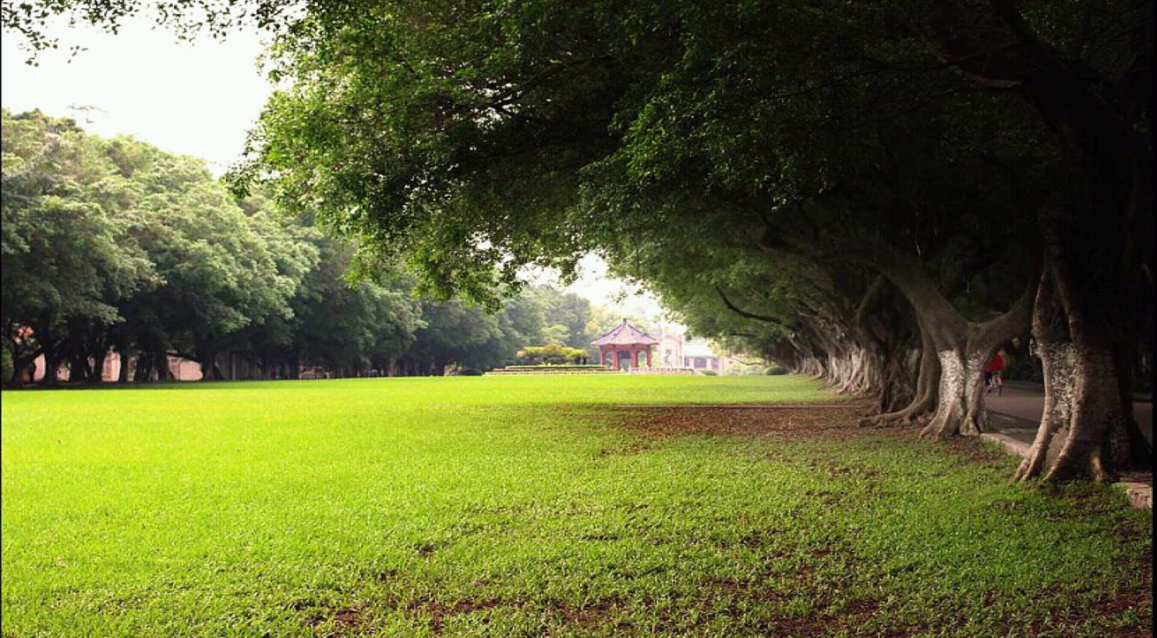  p>中山大学( i>sun yat-sen university /i>),简称 a target="_blank