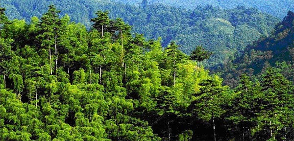  p>天堂山(已更名为"平安山",下称"平安山")生态旅游景区位于 a href=