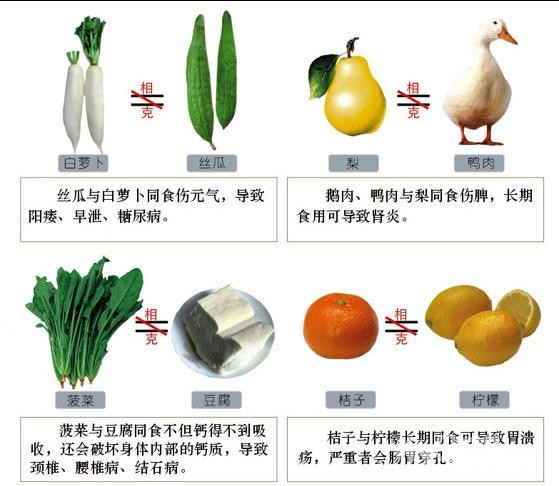 食物与食物相克