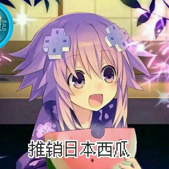聂普迪努